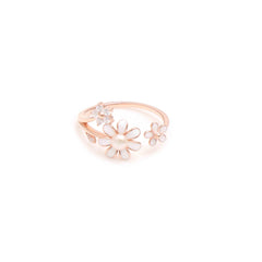 Elegance in Every Turn – 33 rings designed to make you dazzle.