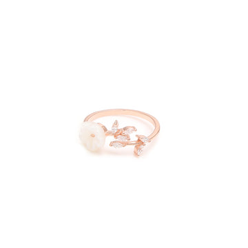 Silver Splendor – Rings that capture the beauty of timeless design.